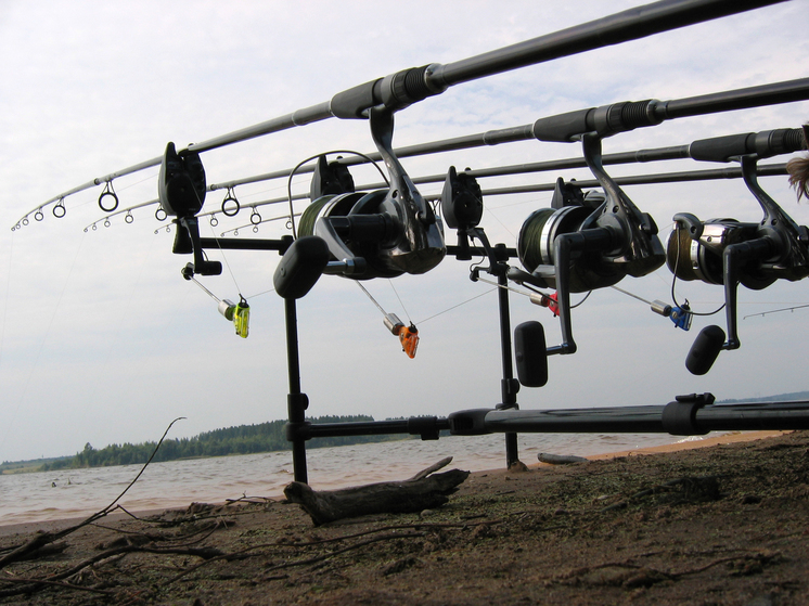 Опытный рыбак попался на собственный крючок на Москве-реке в Раменском
