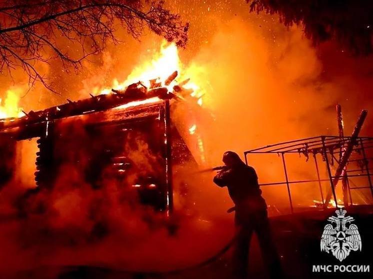 В Ярославской области ищут злодеев, спаливших большое сельское подворье