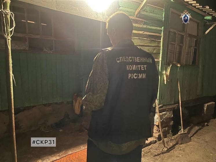 Белгородец забил знакомую топорищем