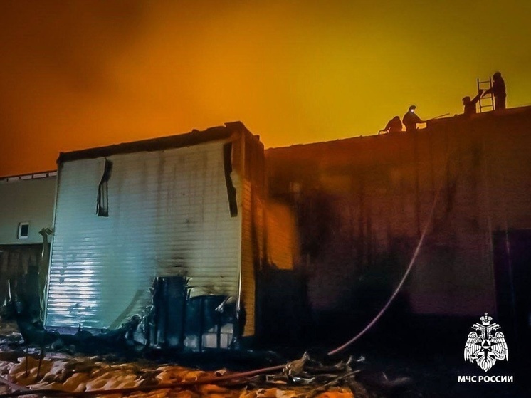 В Рославле сотрудники МЧС не дали огню уничтожить производство