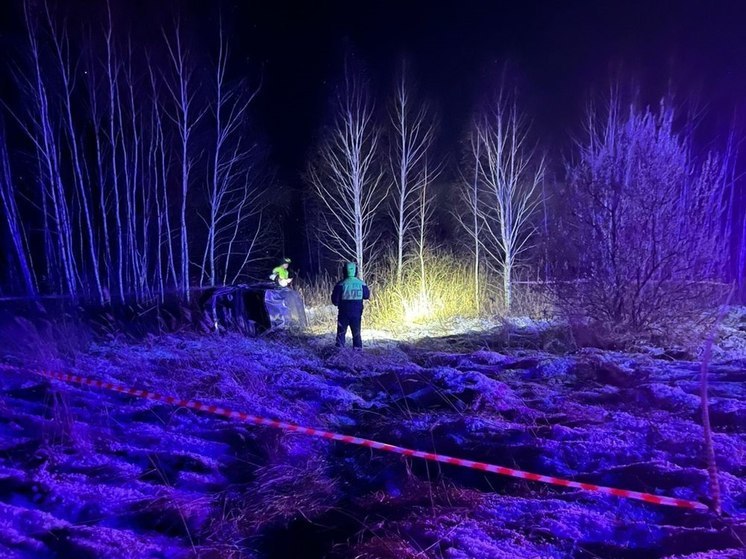 Южноуральские полицейские возбудили уголовное дело после смертельной аварии