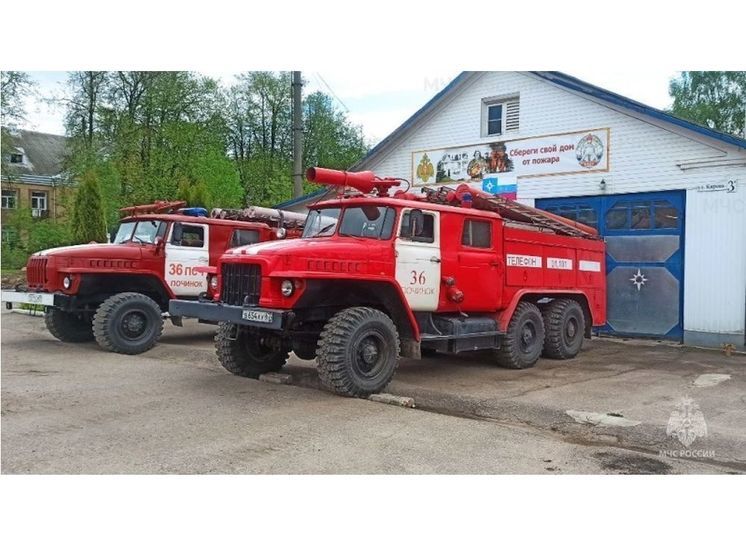 В Починковском районе на пожаре погиб пенсионер