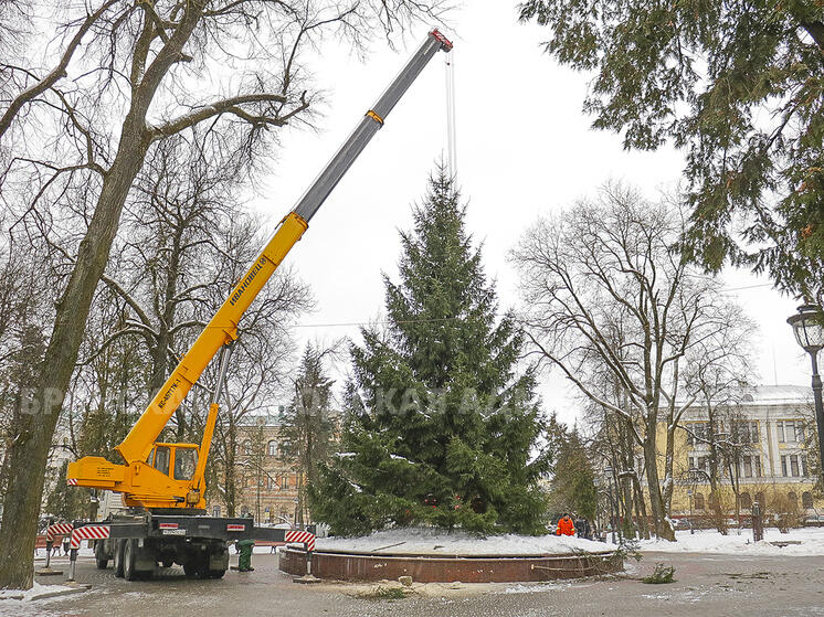 Жителей Брянска восхитила главная новогодняя елка