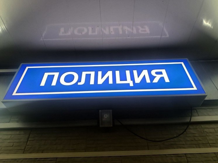 В Петербурге задержали двух 18-летних закладчиков