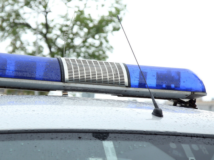 В Эрмитаже задержали жителя Подмосковья за неадекватное поведение