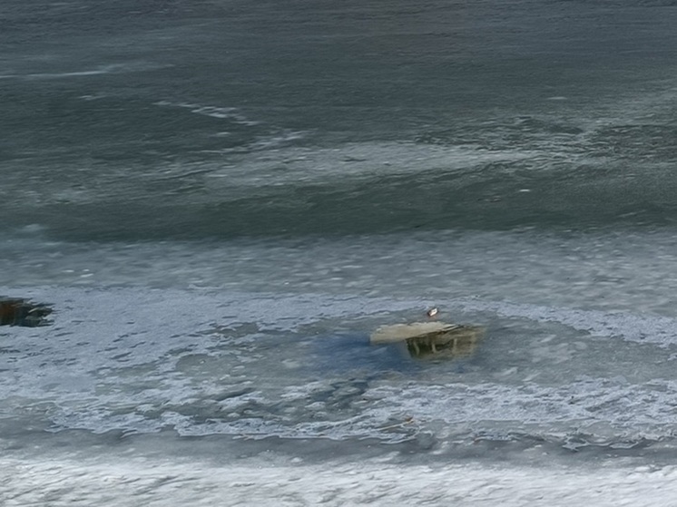 Двое взрослых и двое детей погибли, провалившись под лед на Среднем Урале