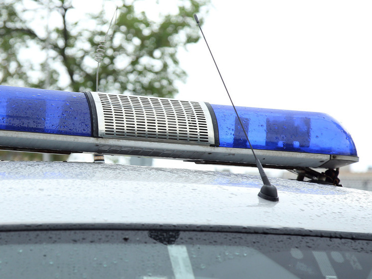 Мигранты-нелегалы полезли через забор, спасаясь от сотрудников ФМС в Подмосковье