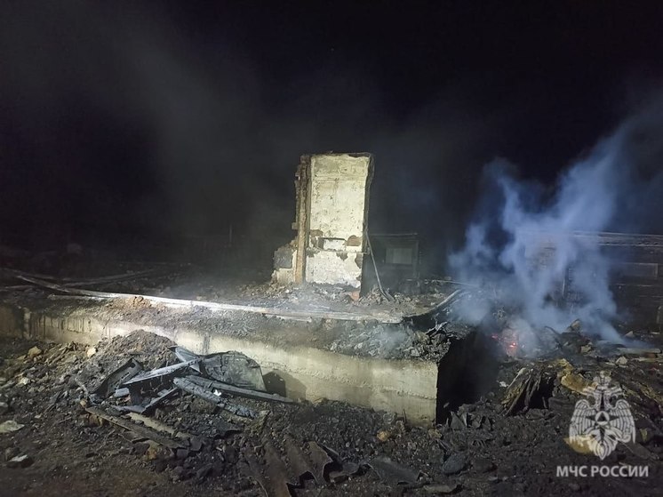 В Энгельсском районе на пожаре погиб пастух