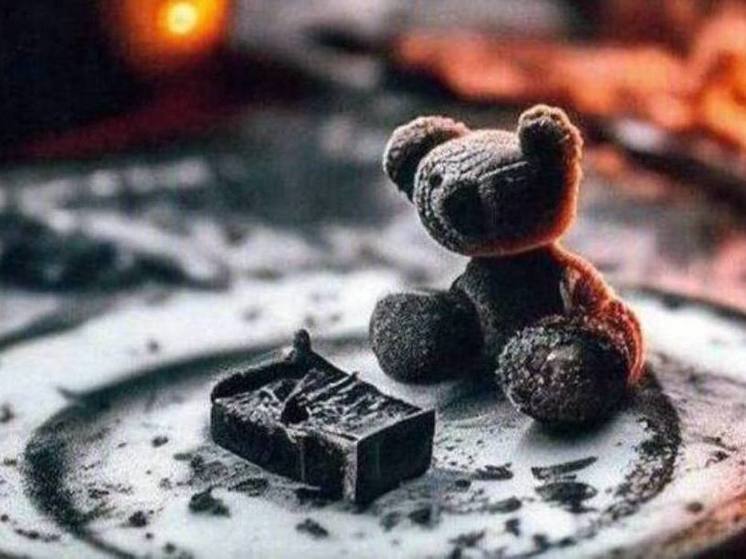 МЧС предупредило липчан о случаях гибели детей в шкафах при пожарах