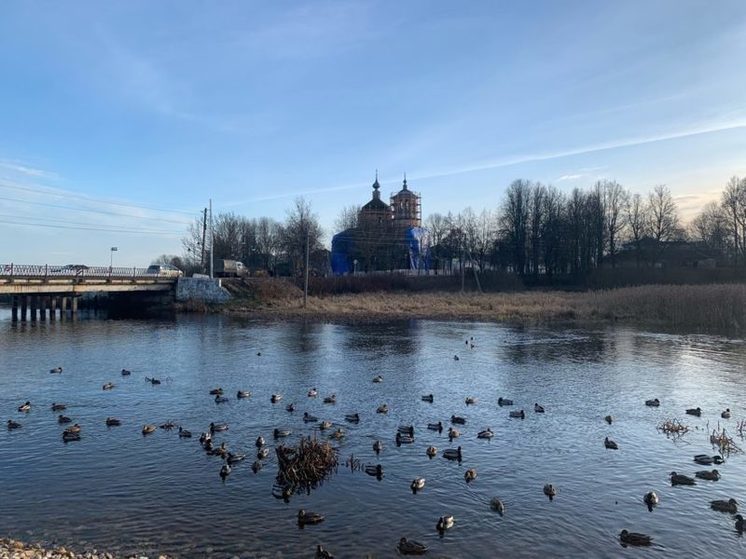 В Тверской области продлён срок подачи заявлений на предоставление поддержки для жителей Торопецкого округа