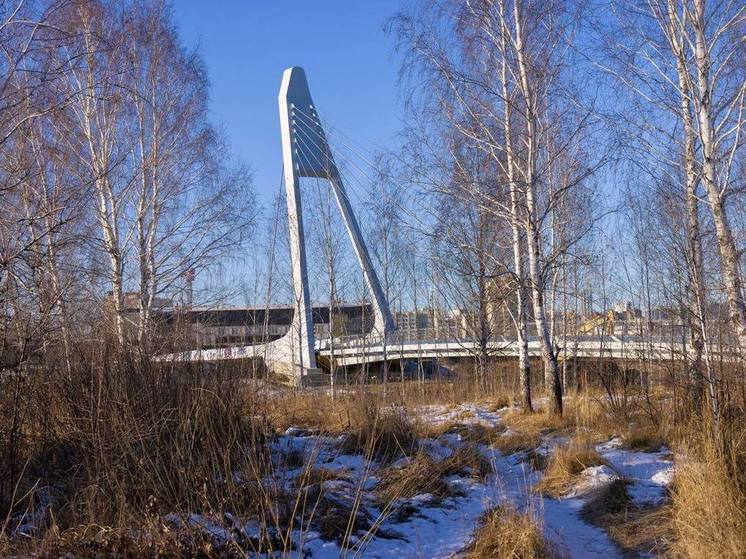 Челябинцы могут проголосовать за объекты благоустройства