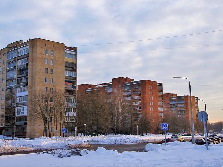 Не рубить сгоряча: борьба без остановки за лес Черноголовки