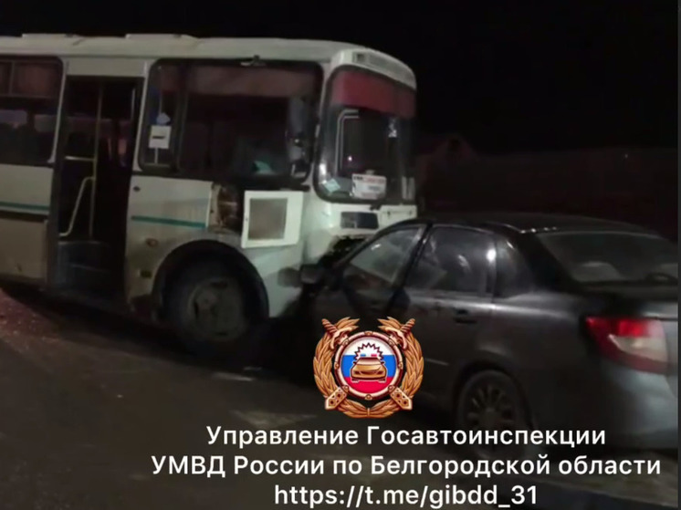 В Белгородской области водитель легковушки пострадал в ДТП с автобусом
