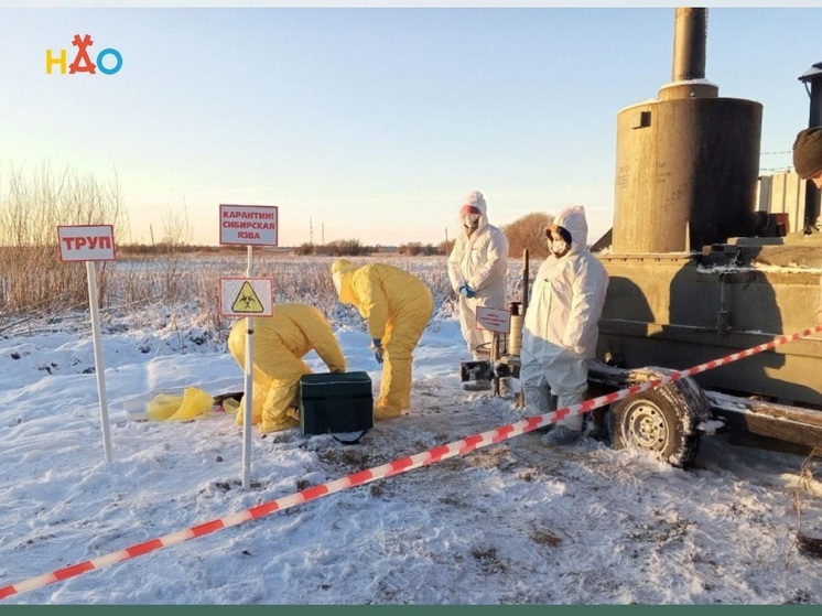 Ветеринарная служба НАО приняла участие в учениях в Архангельске