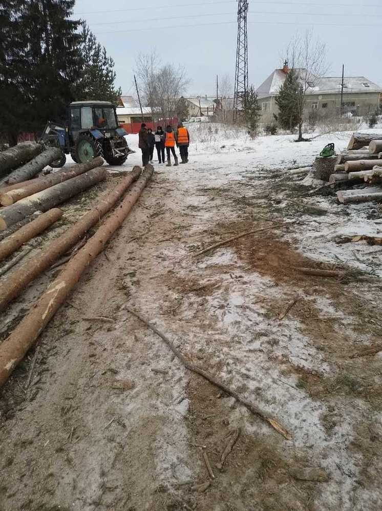 В Ревде начали вырубать лес в излюбленном месте отдыха горожан