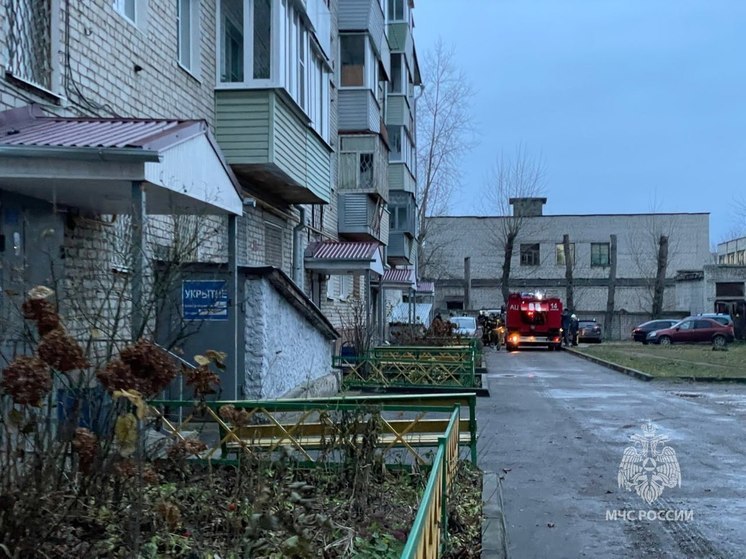 В Коврове случайный прохожий спас женщину с ребенком на пожаре