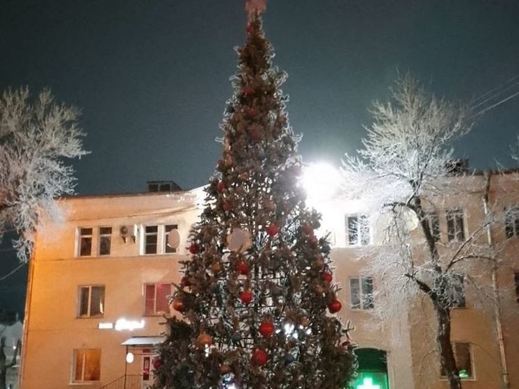 В Волхове установили новогодние елки