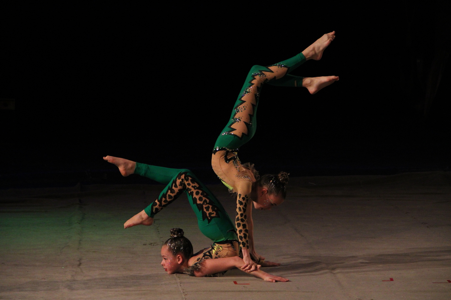 Юные цирковые артисты поразили хабаровских зрителей: фото с фестиваля