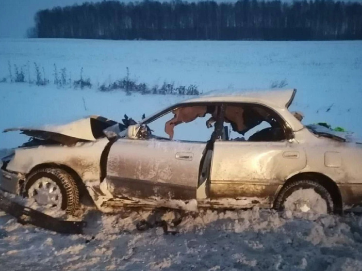 Два человека погибли в ДТП с грузовиком в Красноярском крае