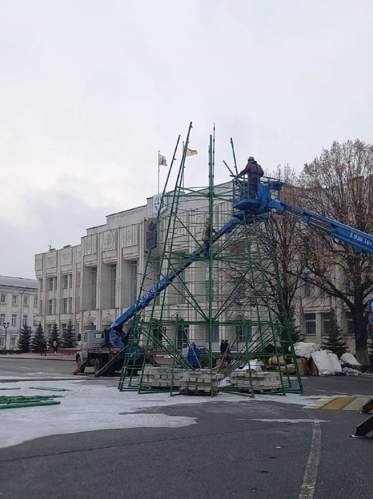 В Ярославле на Советской площади начали собирать елку