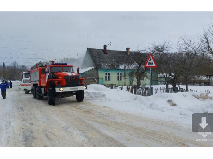 В Ершичах произошло возгорание бани