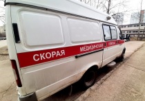 В Красноярске маленькую девочку убило током от холодильника