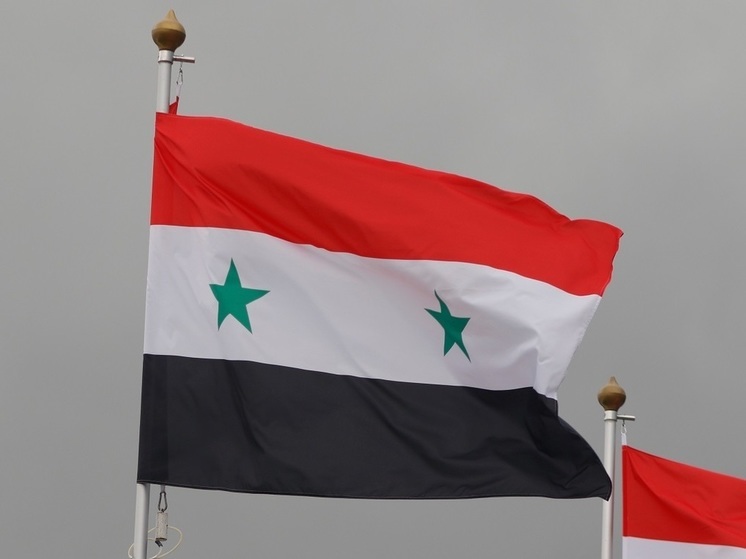 Эксперт Вансу: будущее Сирии после ухода Асада с поста президента выглядит неопределенным