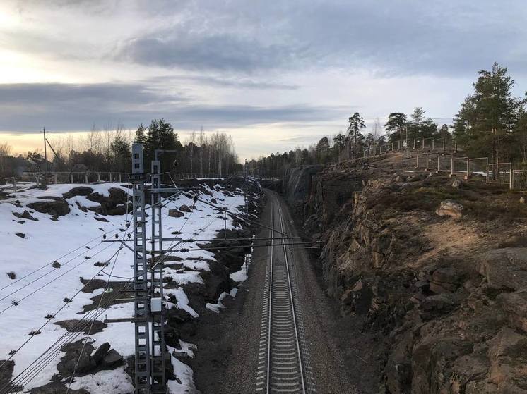 В Новгородской области погрузка на железной дороге выросла еще на 6%