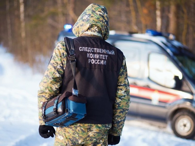 Ночью при пожаре в деревенском доме в Тверской области погибли три человека