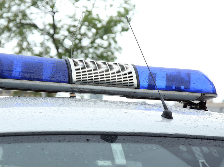 Мошенники представились сотрудниками сотовой компании, Госуслуг и банка, чтобы ограбить женщину