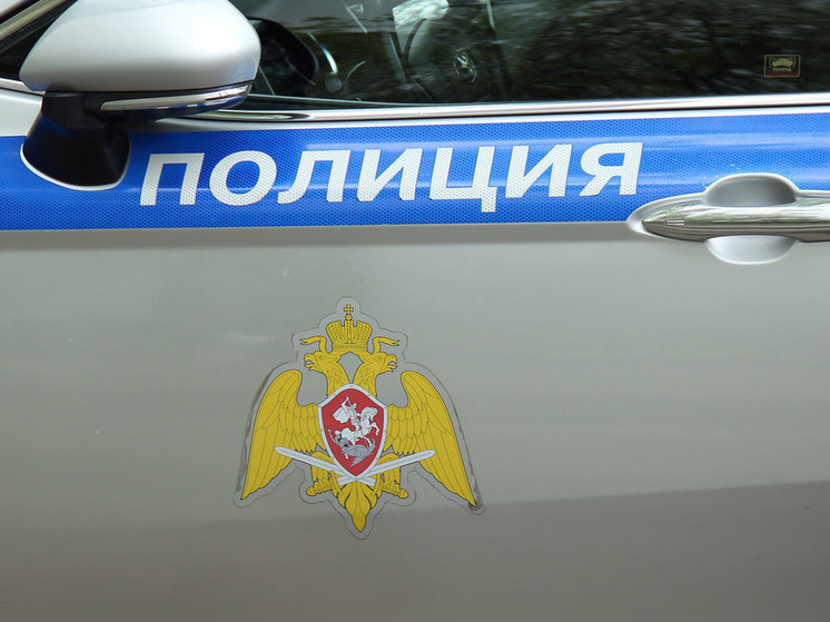 В аэропорту Жуковский задержали пассажира с украшениями на 2,4 млн рублей