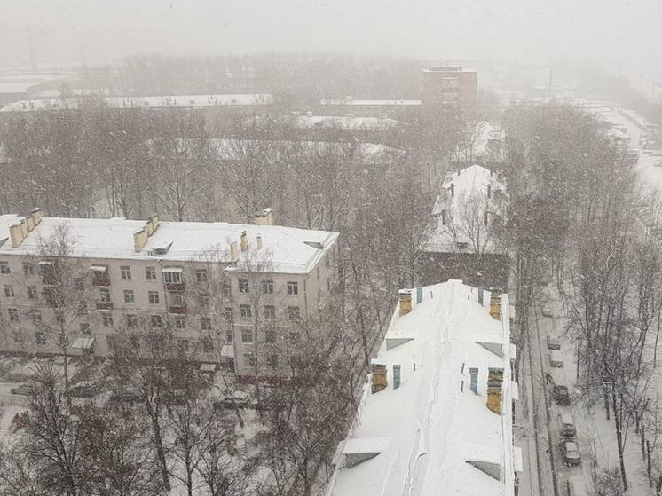 Подмосковье с сугробами в 30 см попало в пятерку самых снежных регионов