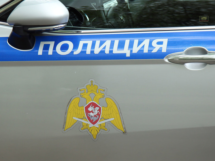 Убийство и суицид произошли в доме в Домодедово всего за сутки