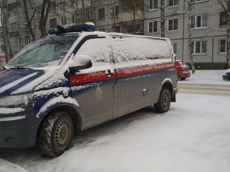 Убийство мужчины без определенного места жительства расследуют в Вологде