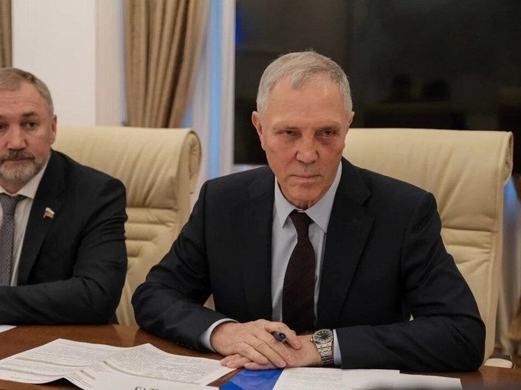 Херсонский губернатор Сальдо встретился с главой Минприроды РФ Козловым
