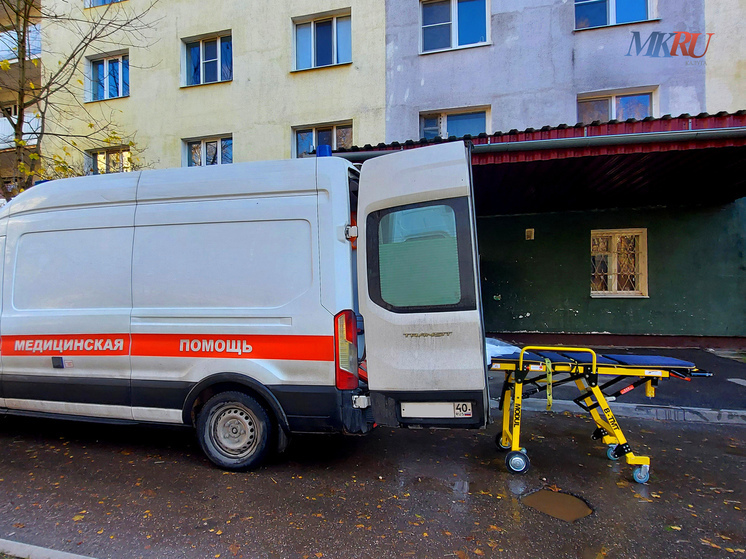 В Калуге от удара током на дамбе пострадали собака и человек