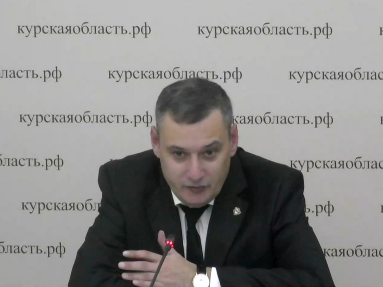 Хинштейн назвал плюсы в приходе «варяга» на пост губернатора Курской области