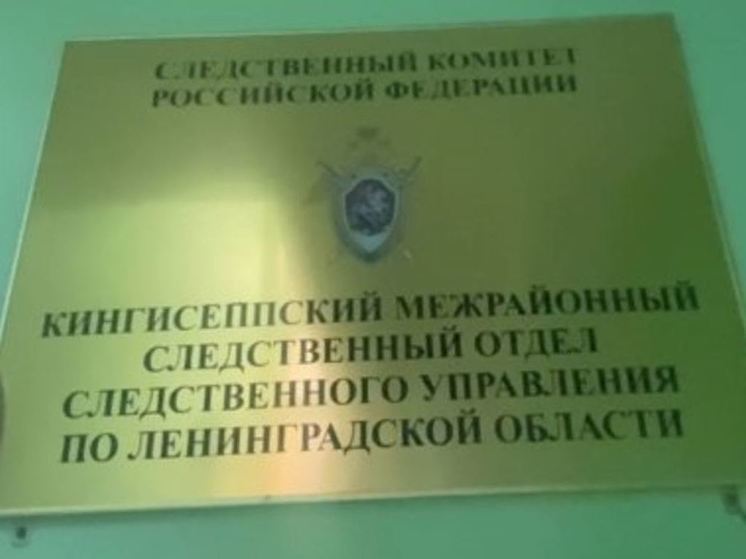 В Кингисеппе будут судить иностранца за взятку пограничнику