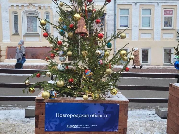 Никитин: Новгородская область присоединилась к Всероссийскому фестивалю елок
