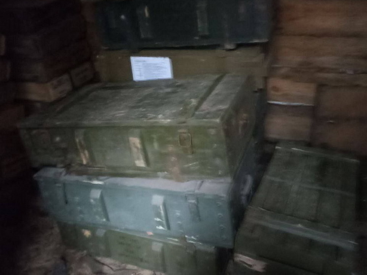 В Курской области обнаружили схрон ВСУ с 80 ящиками патронов и гранат