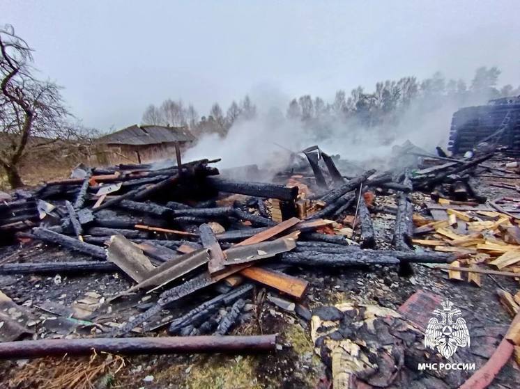В МЧС назвали предварительную причину пожара в Тверской области, что унес жизни троих человек