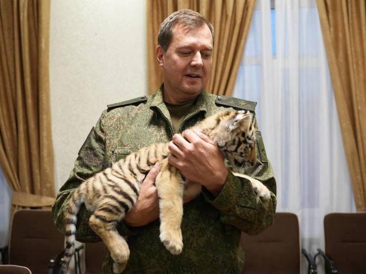 Губернатору Запорожской области Евгению Балицкому исполнилось 55 лет