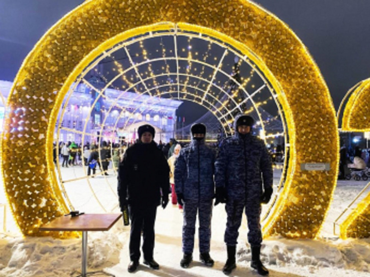 Порядок при открытии новогодних елок в НАО обеспечили на все 100