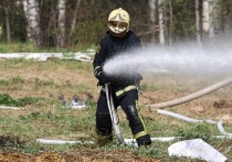 Главное управление МЧС России по Чувашской Республике в публикации в своем телеграм-канале сообщает, что во вторник утром на территории сельскохозяйственного предприятия «Триум-Агро» в Комсомольском округе Чувашии загорелся цех по переработке мяса площадью почти 1,6 тысяч квадратных метров.