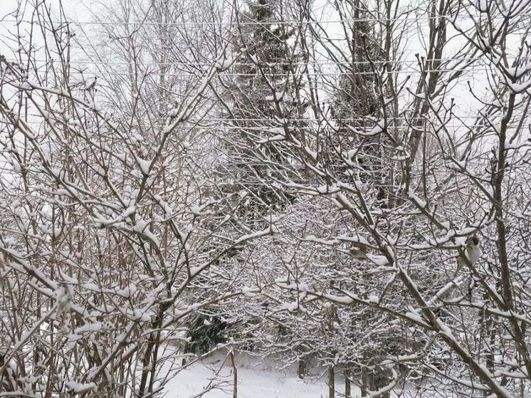 Двузначные морозы могут ударить по Подмосковью на выходных