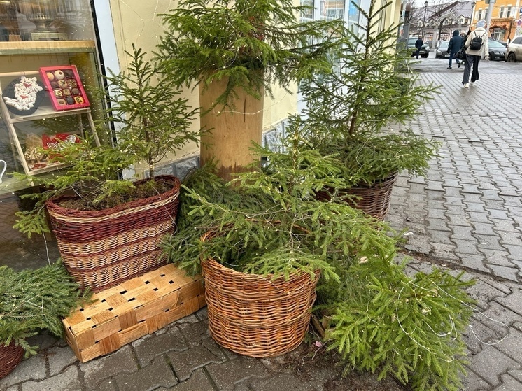 Почти 50 вологодских организаций участвуют в конкурсе «Лучшая новогодняя витрина»