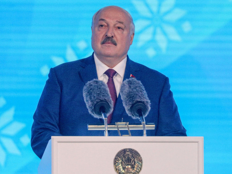 Лукашенко назвал смену власти в Сирии уроком для Белоруссии