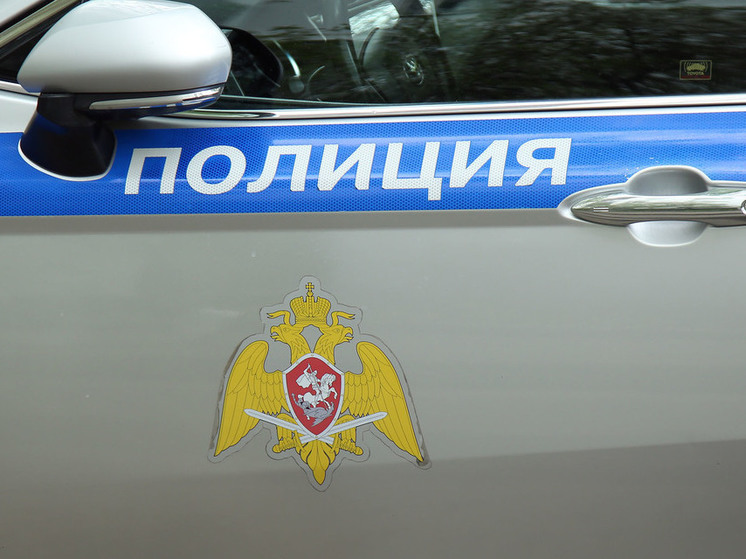 В Подольске агрессивный мужчина угрожает жителям и стреляет по собакам