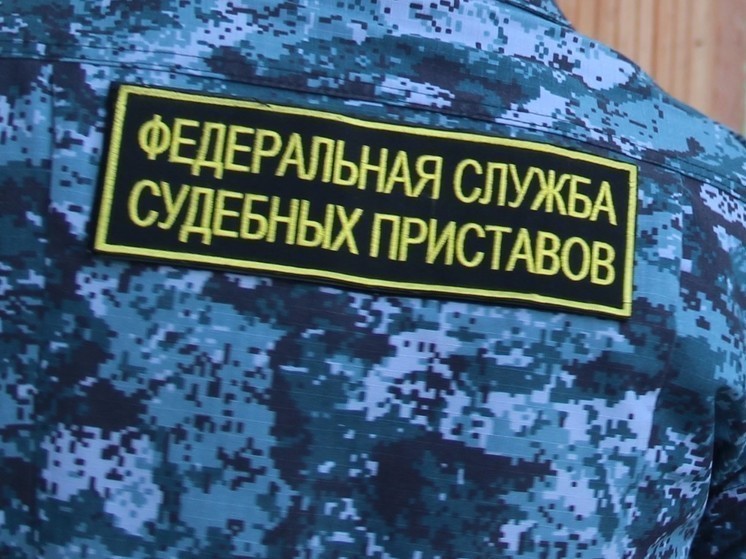 РЕН ТВ: не заплатившая своему ребенку алименты мать пряталась в диване от судебных приставов