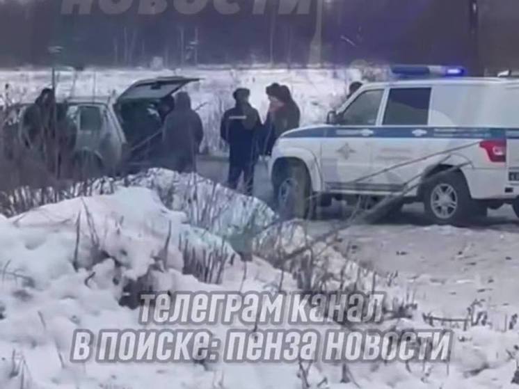 В Пензенской области «Новогодняя полиция» задержала елочных браконьеров